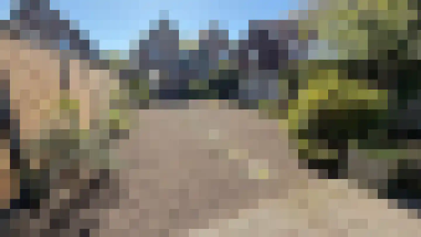 Lindenlaan 5 Sassenheim thumbnail 9