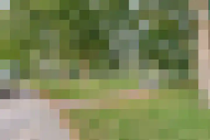 Lindenlaan 5 Schiedam thumbnail 21