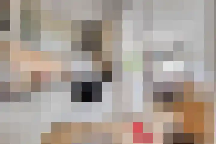 Lindenlaan 5 Schiedam thumbnail 5
