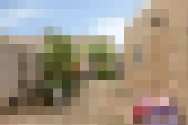Lindenlaan 5 Schiedam thumbnail 7