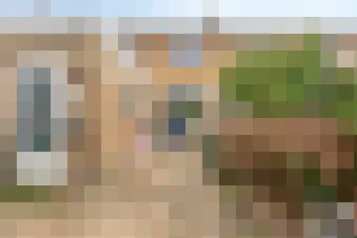 Lindenlaan 5 Schiedam thumbnail 8