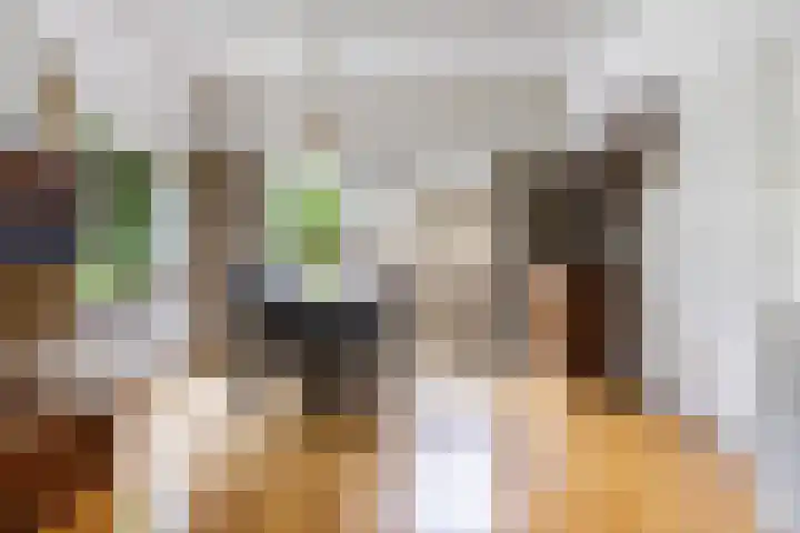 Lindenlaan 5 Sneek thumbnail 13
