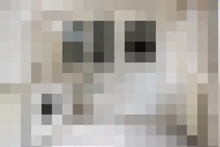 Lindenlaan 5 Sneek thumbnail 17