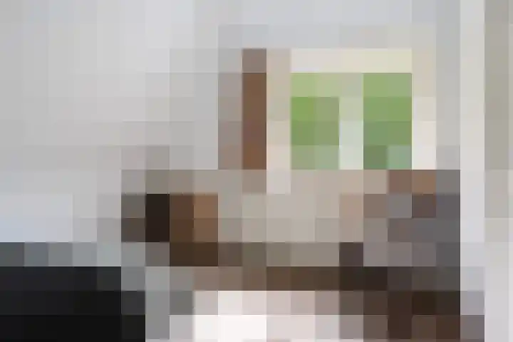 Lindenlaan 5 Sneek thumbnail 21