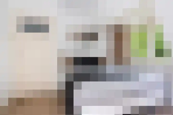 Lindenlaan 5 Sneek thumbnail 22