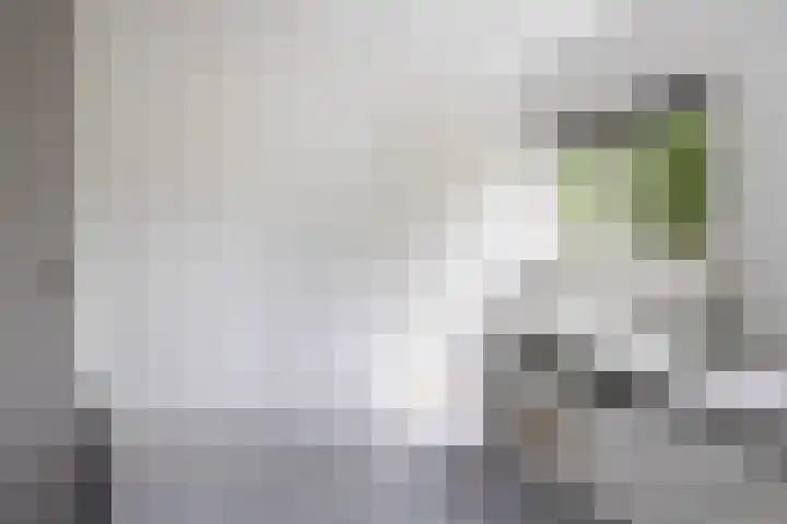 Lindenlaan 5 Sneek thumbnail 24