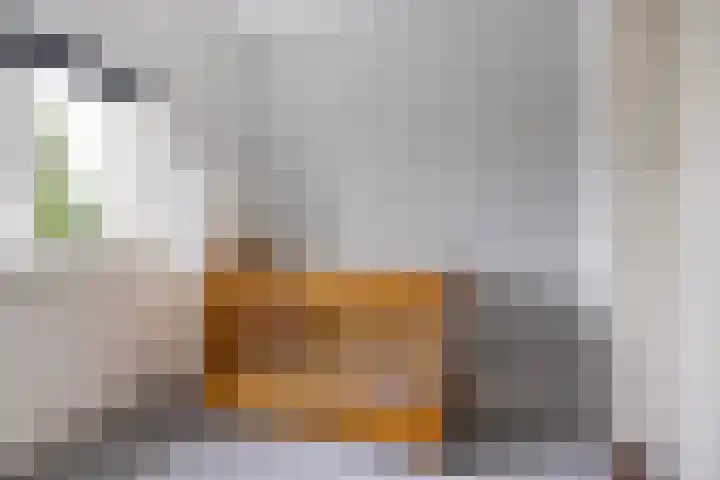 Lindenlaan 5 Sneek thumbnail 25
