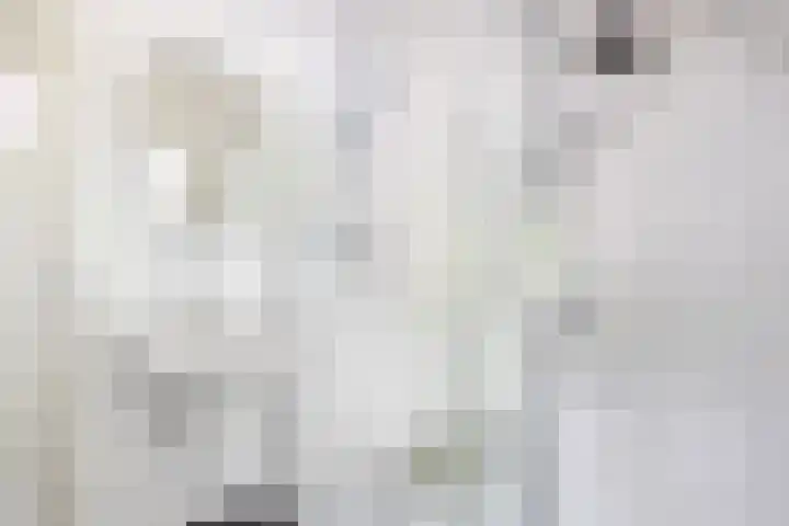 Lindenlaan 5 Sneek thumbnail 29