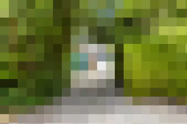 Lindenlaan 5 Sneek thumbnail 35