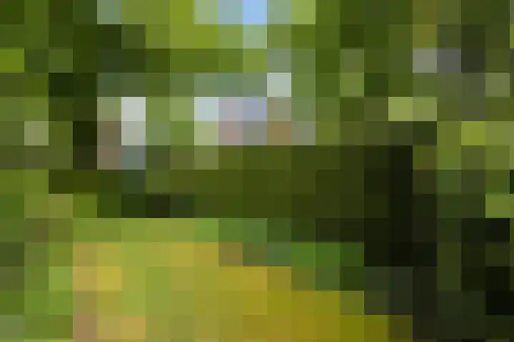 Lindenlaan 5 Sneek thumbnail 37