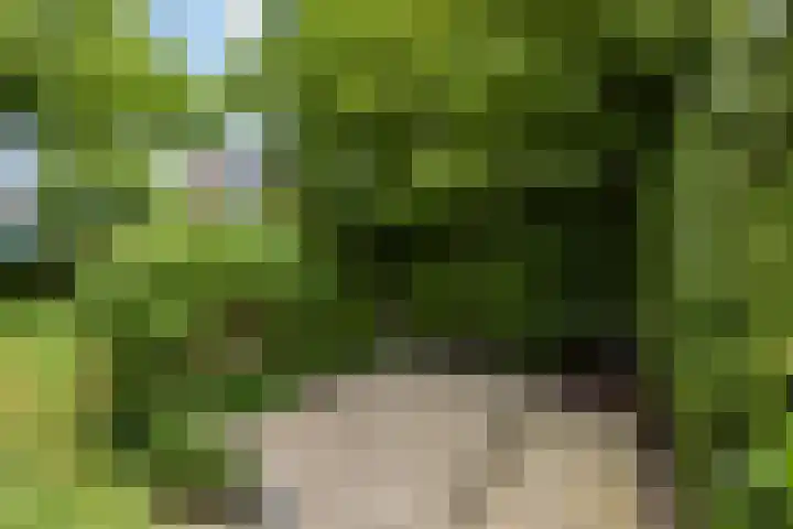 Lindenlaan 5 Sneek thumbnail 38