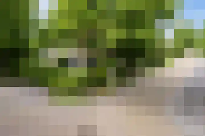 Lindenlaan 5 Sneek thumbnail 39