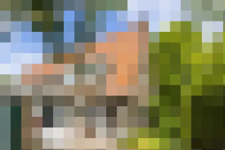 Lindenlaan 5 Sneek thumbnail 4