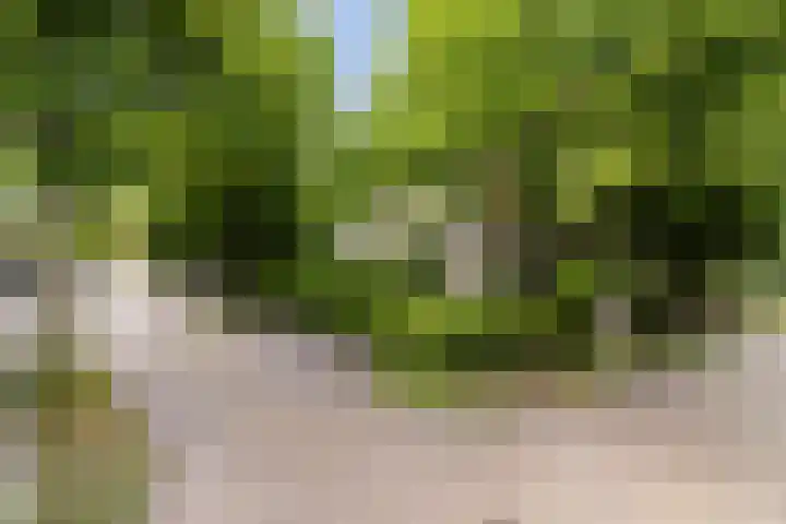 Lindenlaan 5 Sneek thumbnail 40