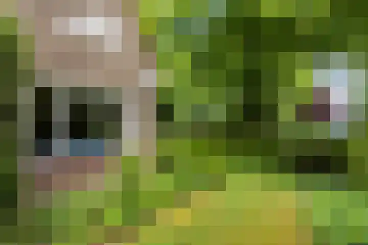 Lindenlaan 5 Sneek thumbnail 42