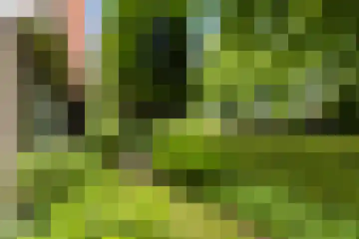 Lindenlaan 5 Sneek thumbnail 43