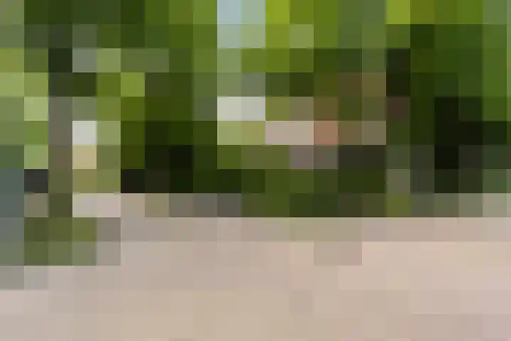 Lindenlaan 5 Sneek thumbnail 45