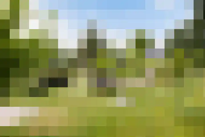 Lindenlaan 5 Sneek thumbnail 47