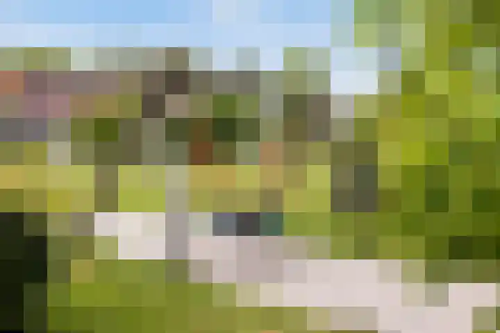 Lindenlaan 5 Sneek thumbnail 48