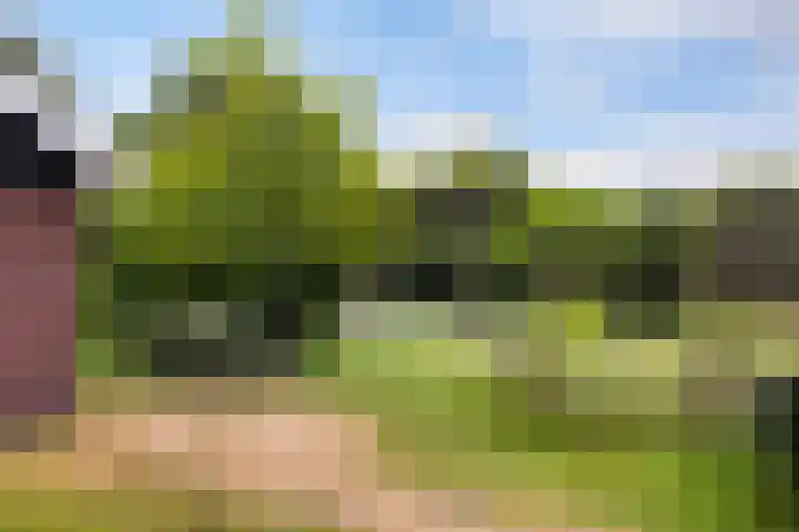Lindenlaan 5 Sneek thumbnail 49