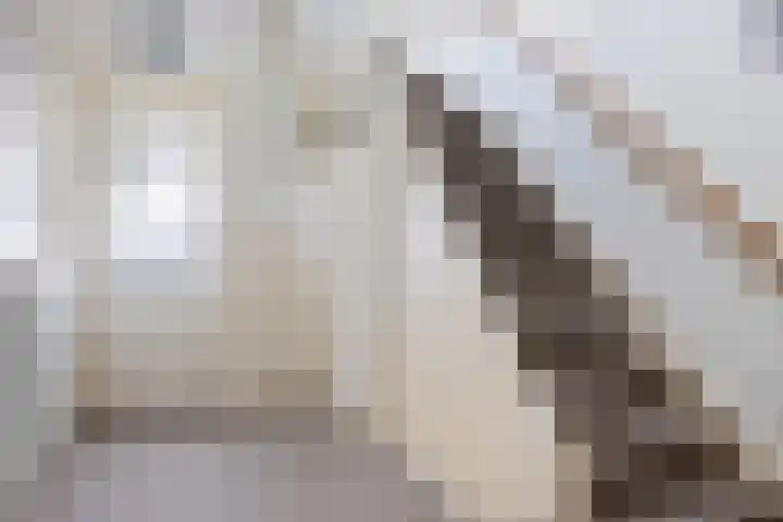 Lindenlaan 5 Sneek thumbnail 5