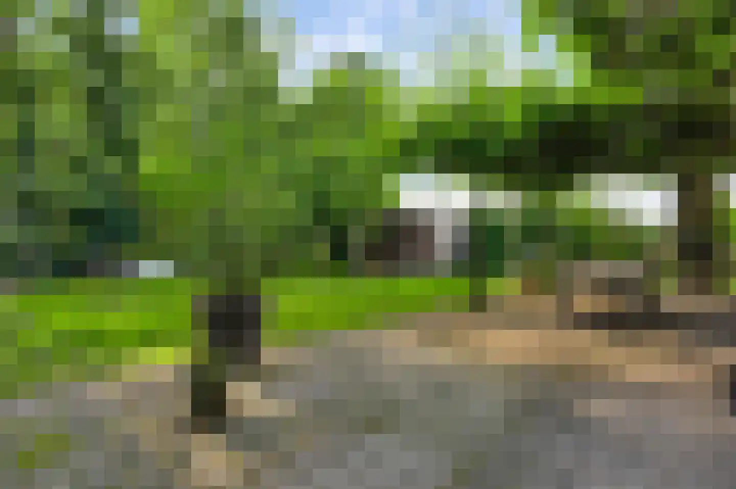 Lindenlaan 5 Spaubeek thumbnail 13