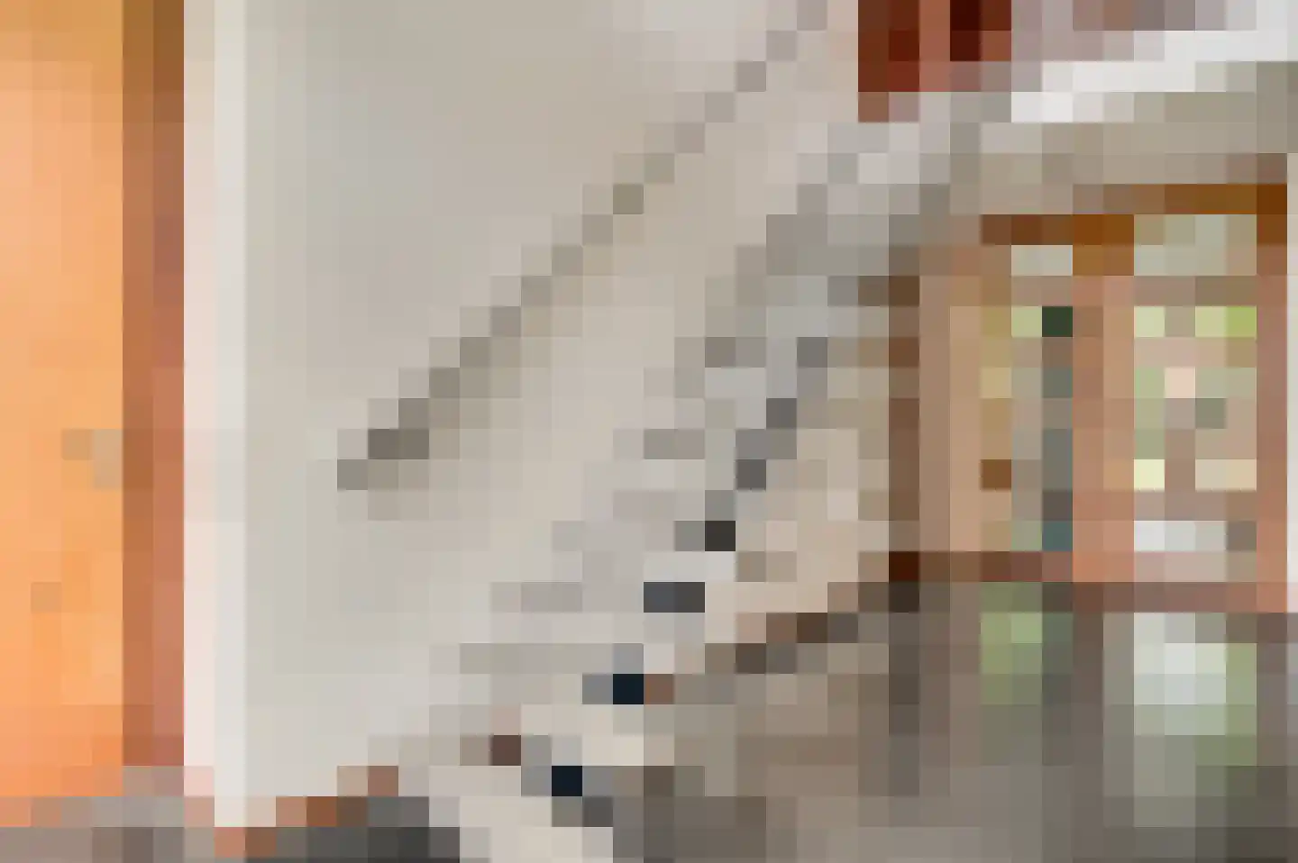 Lindenlaan 5 Spaubeek thumbnail 14