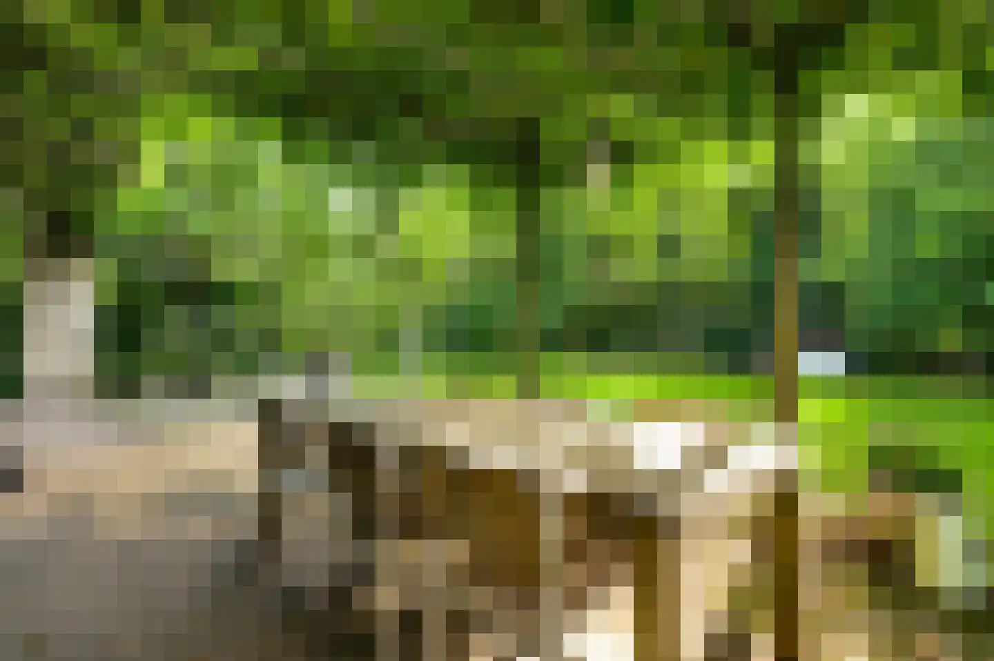 Lindenlaan 5 Spaubeek thumbnail 5