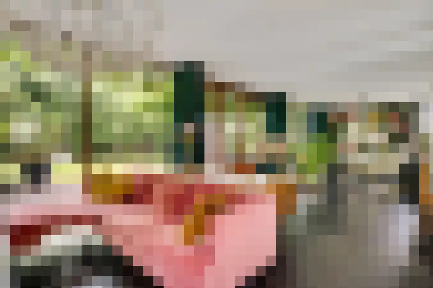 Lindenlaan 5 Spaubeek thumbnail 7
