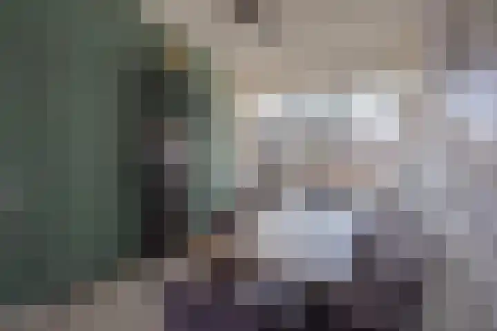 Lindenlaan 50 Bellingwolde thumbnail 13