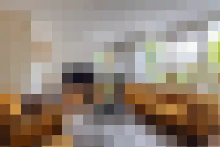 Lindenlaan 50 Vroomshoop thumbnail 12