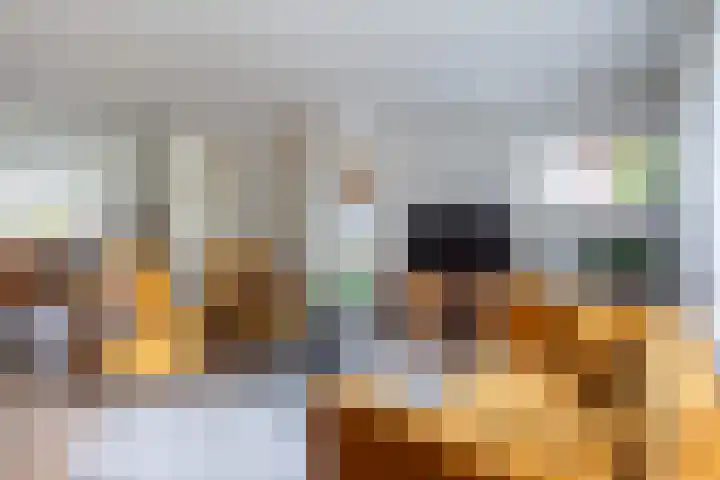 Lindenlaan 50 Vroomshoop thumbnail 14