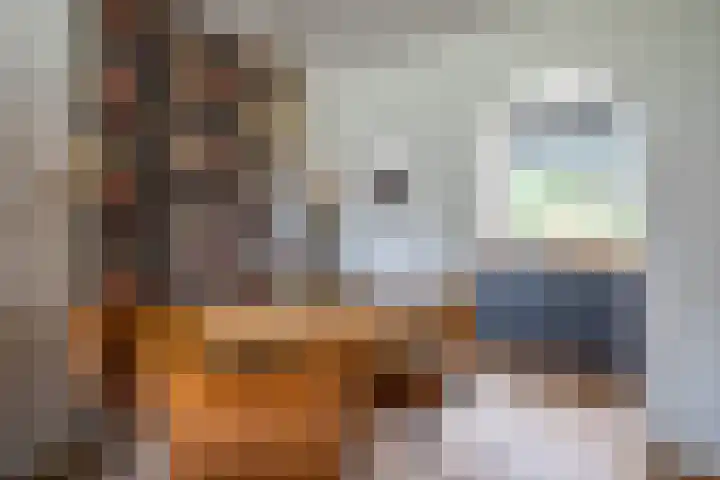 Lindenlaan 50 Vroomshoop thumbnail 16
