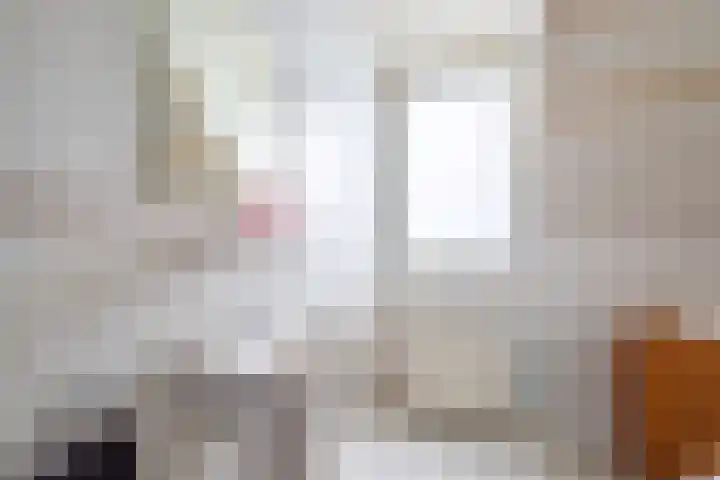 Lindenlaan 50 Vroomshoop thumbnail 22