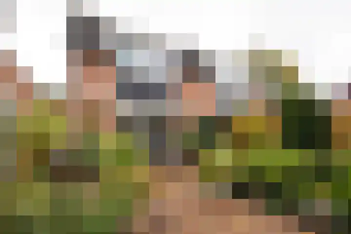 Lindenlaan 50 Vroomshoop thumbnail 27