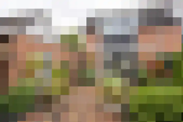 Lindenlaan 50 Vroomshoop thumbnail 28