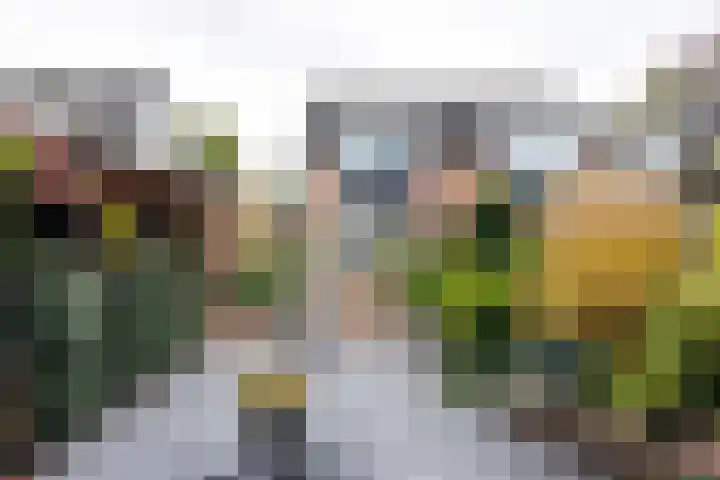 Lindenlaan 50 Vroomshoop thumbnail 29