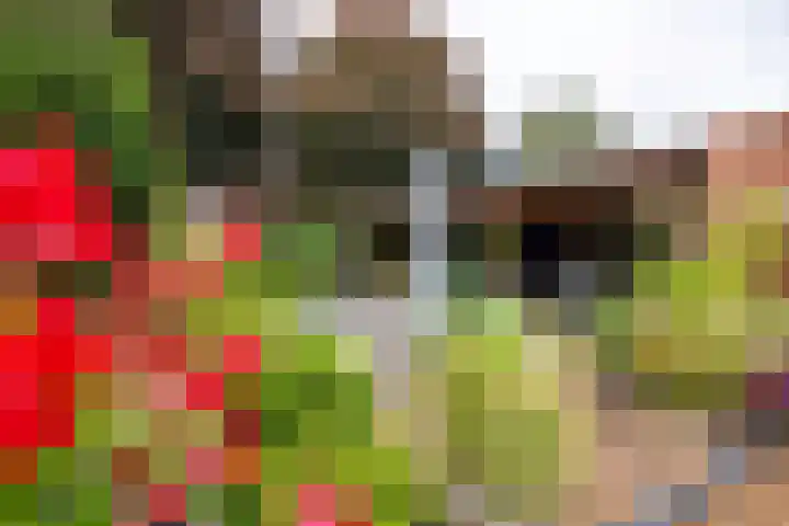 Lindenlaan 50 Vroomshoop thumbnail 30