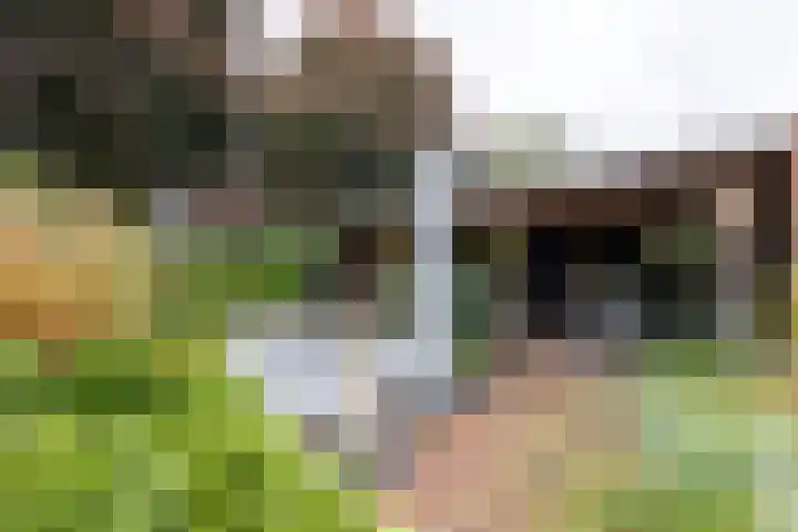 Lindenlaan 50 Vroomshoop thumbnail 31