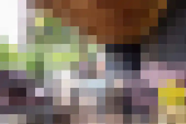 Lindenlaan 50 Vroomshoop thumbnail 32