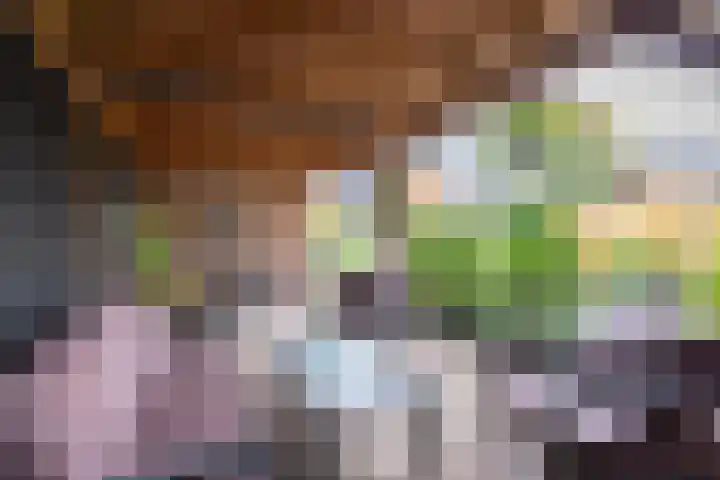 Lindenlaan 50 Vroomshoop thumbnail 33