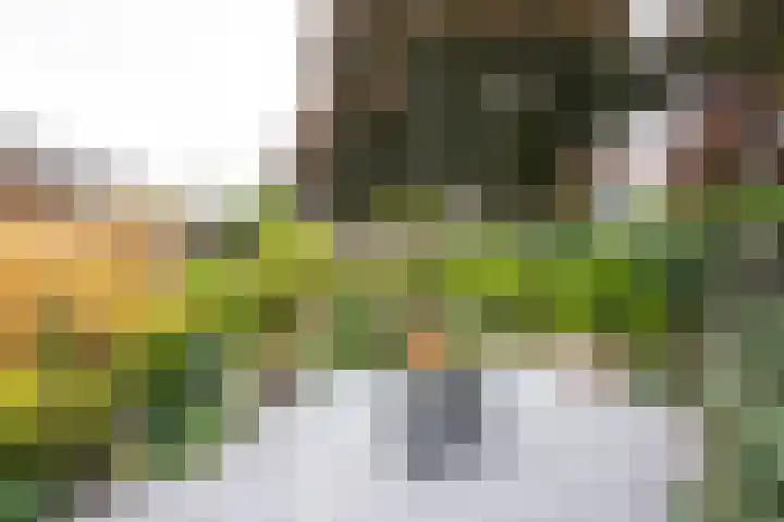 Lindenlaan 50 Vroomshoop thumbnail 34