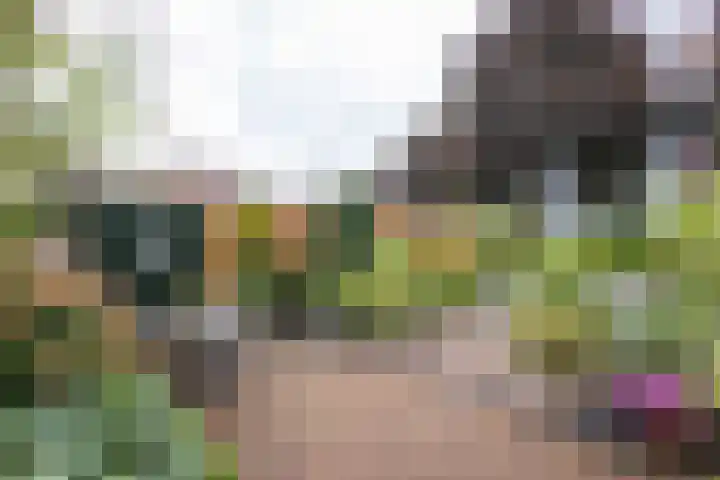Lindenlaan 50 Vroomshoop thumbnail 35