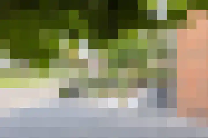 Lindenlaan 50 Vroomshoop thumbnail 36