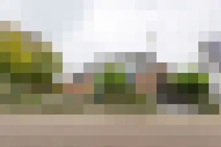 Lindenlaan 50 Vroomshoop thumbnail 4