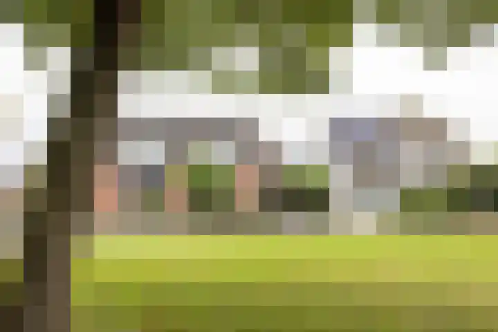Lindenlaan 50 Vroomshoop thumbnail 5