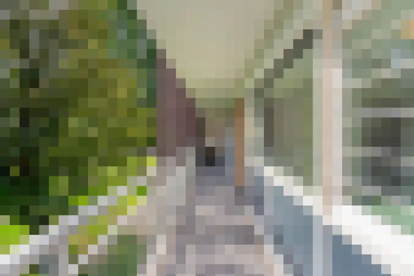 Lindenlaan 507 Amstelveen thumbnail 22