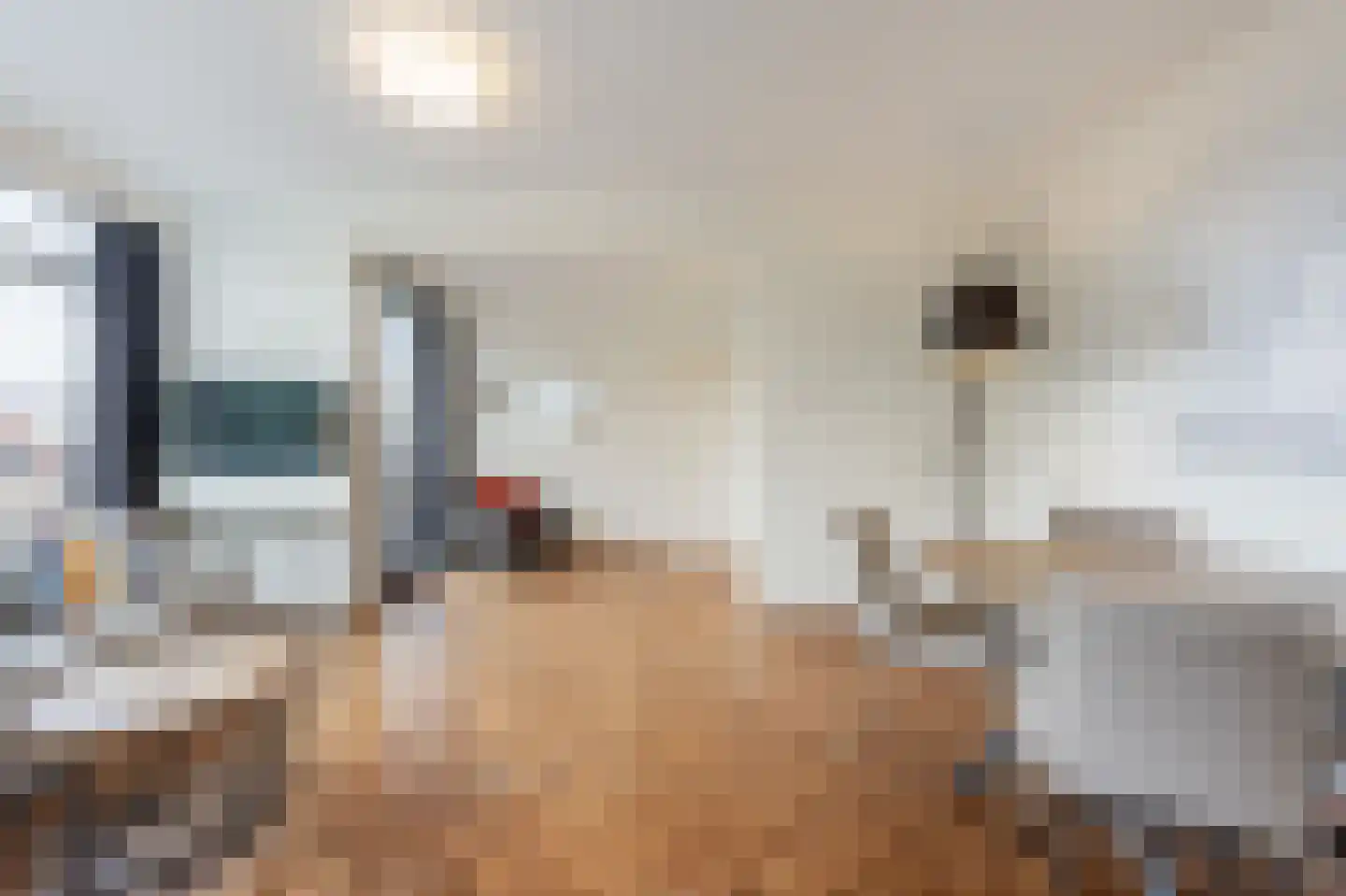 Lindenlaan 507 Amstelveen thumbnail 6