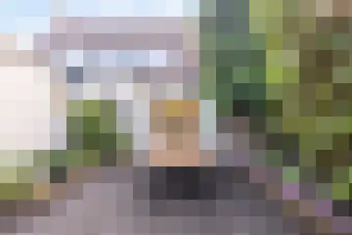Lindenlaan 52 Huizen thumbnail 13