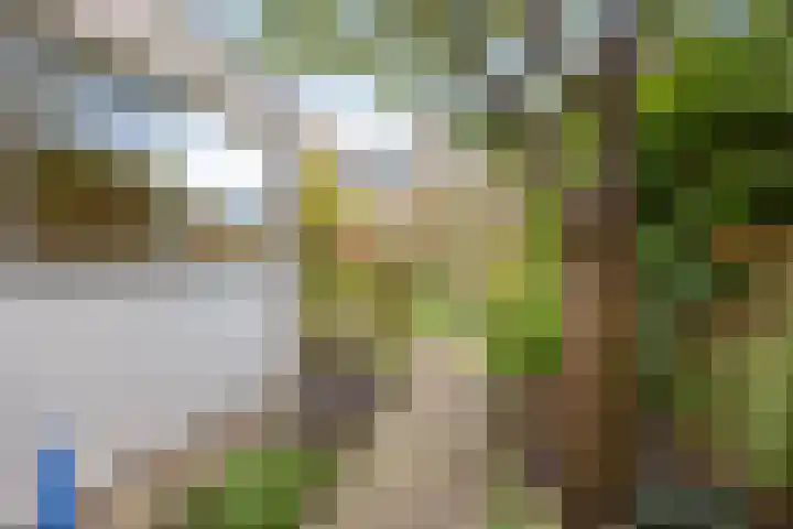 Lindenlaan 52 Schagen thumbnail 30